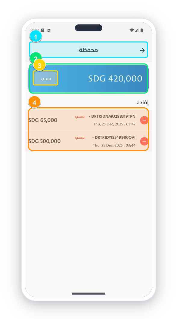 Doctor Wallet & Financial Ledger